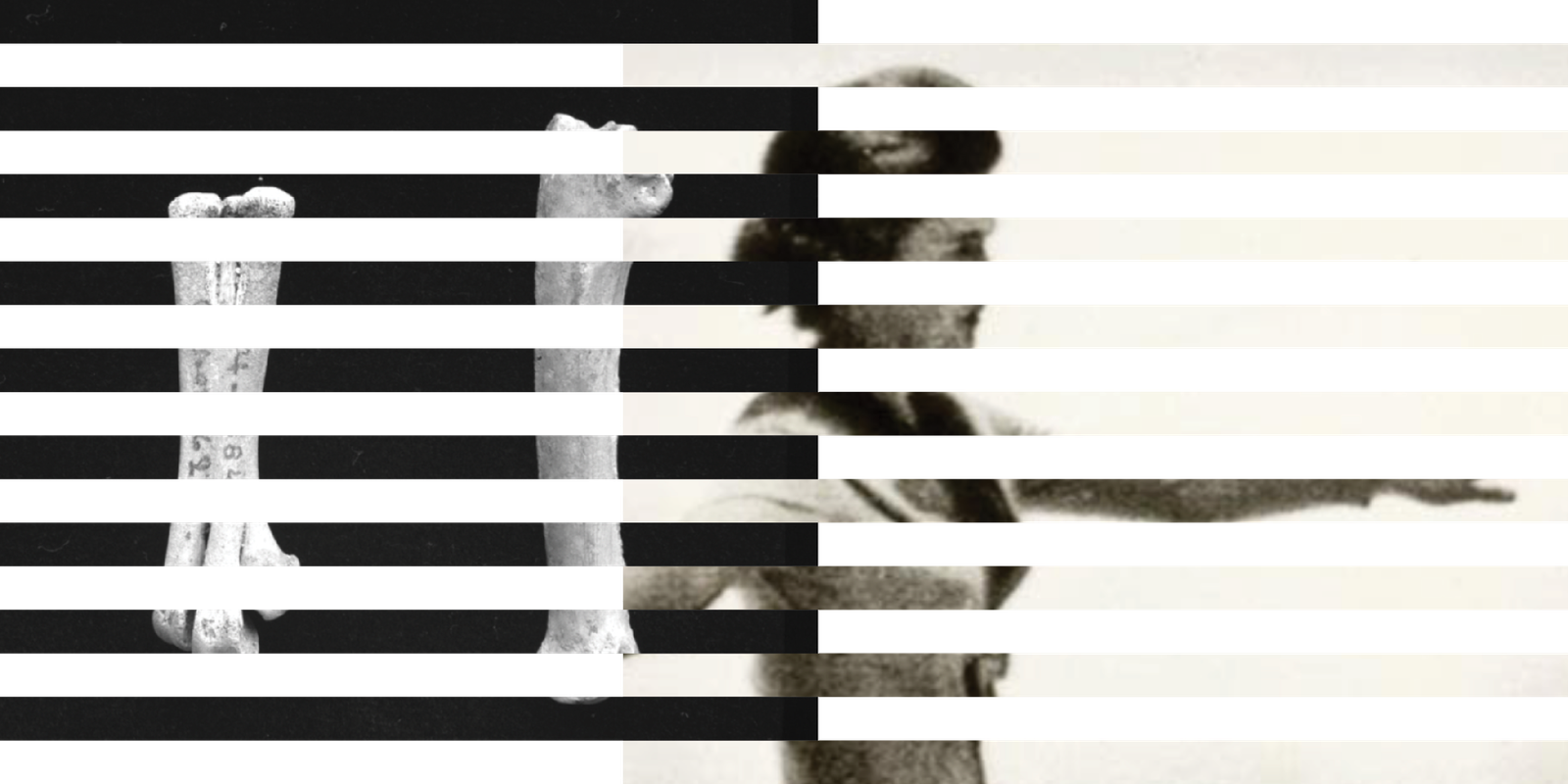 Exploring CommonsDB’s role in AI training data