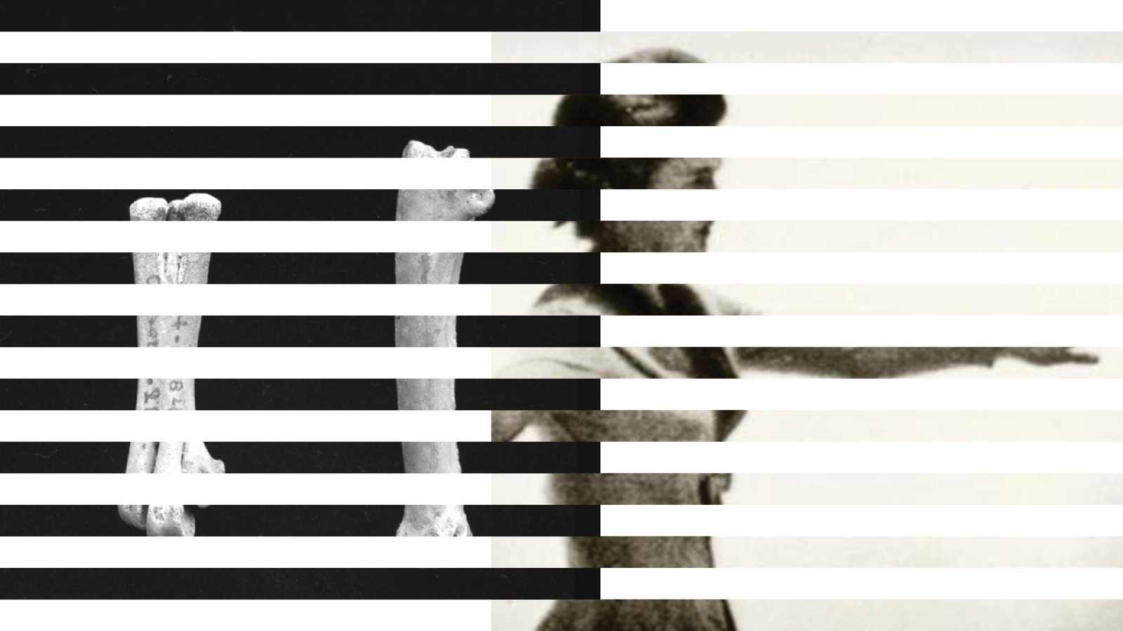 CommonsDB surpasses 1 million declarations