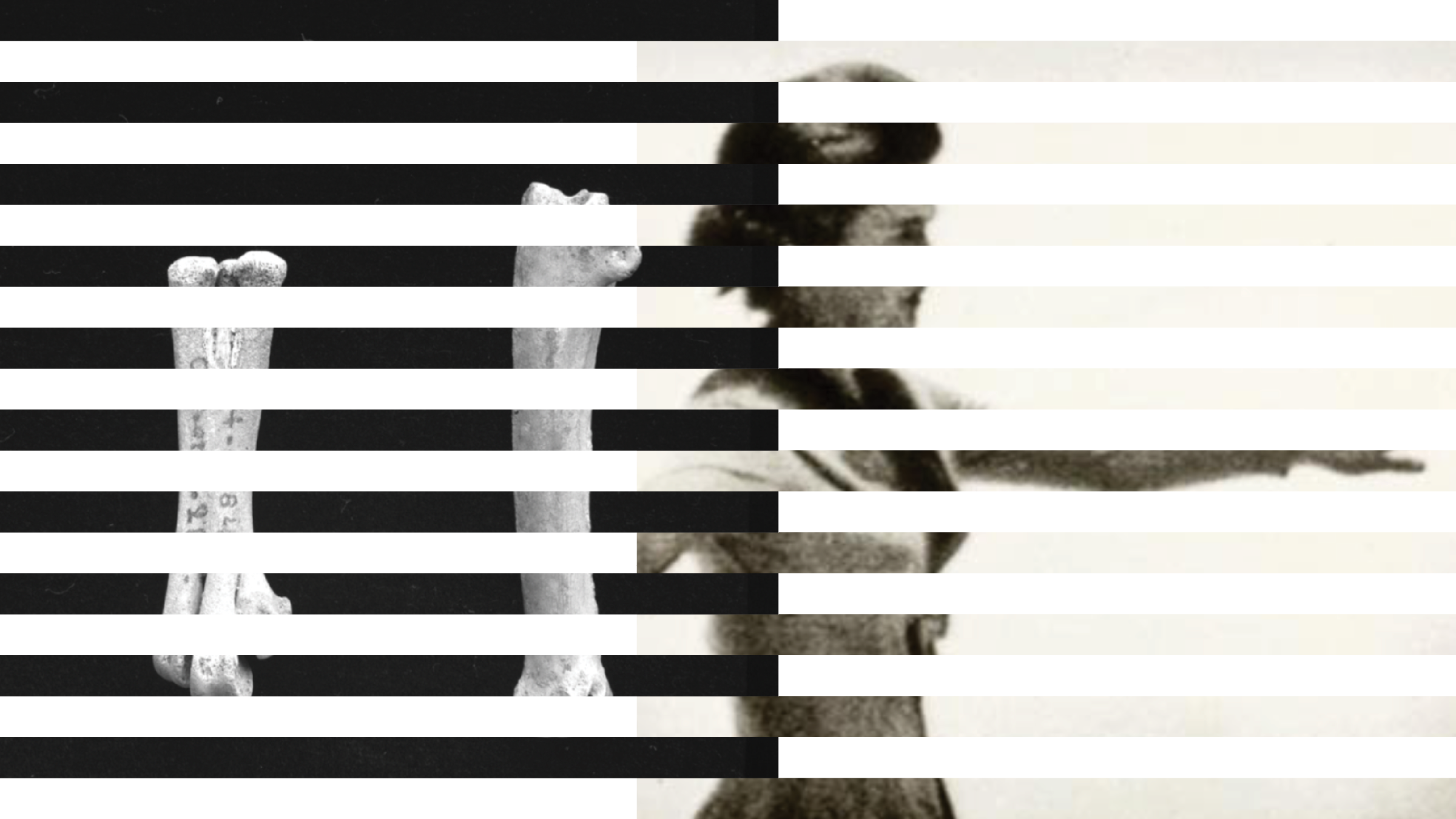 CommonsDB surpasses 1 million declarations